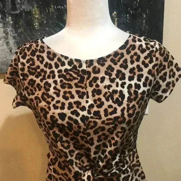 Ann Taylor Animal Print Short Sleeved Figure Flattering Waist Tie Front Top-S - Picture 3 of 8